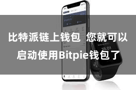 比特派链上钱包 您就可以启动使用Bitpie钱包了