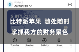 比特派苹果  随处随时掌抓我方的财务景色
